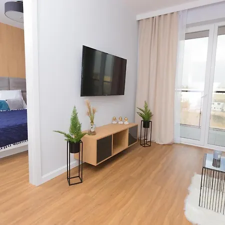 Maloves Netflix * Łódź