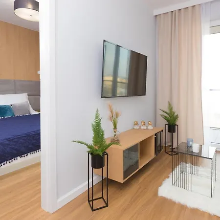 Maloves Netflix Łódź