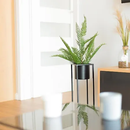 Maloves Netflix Łódź