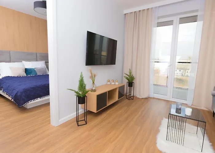 Maloves Netflix * Łódź