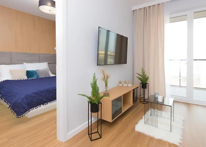 Maloves Netflix Łódź