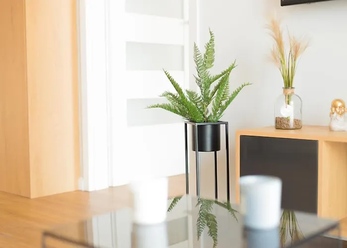 Maloves Netflix Łódź